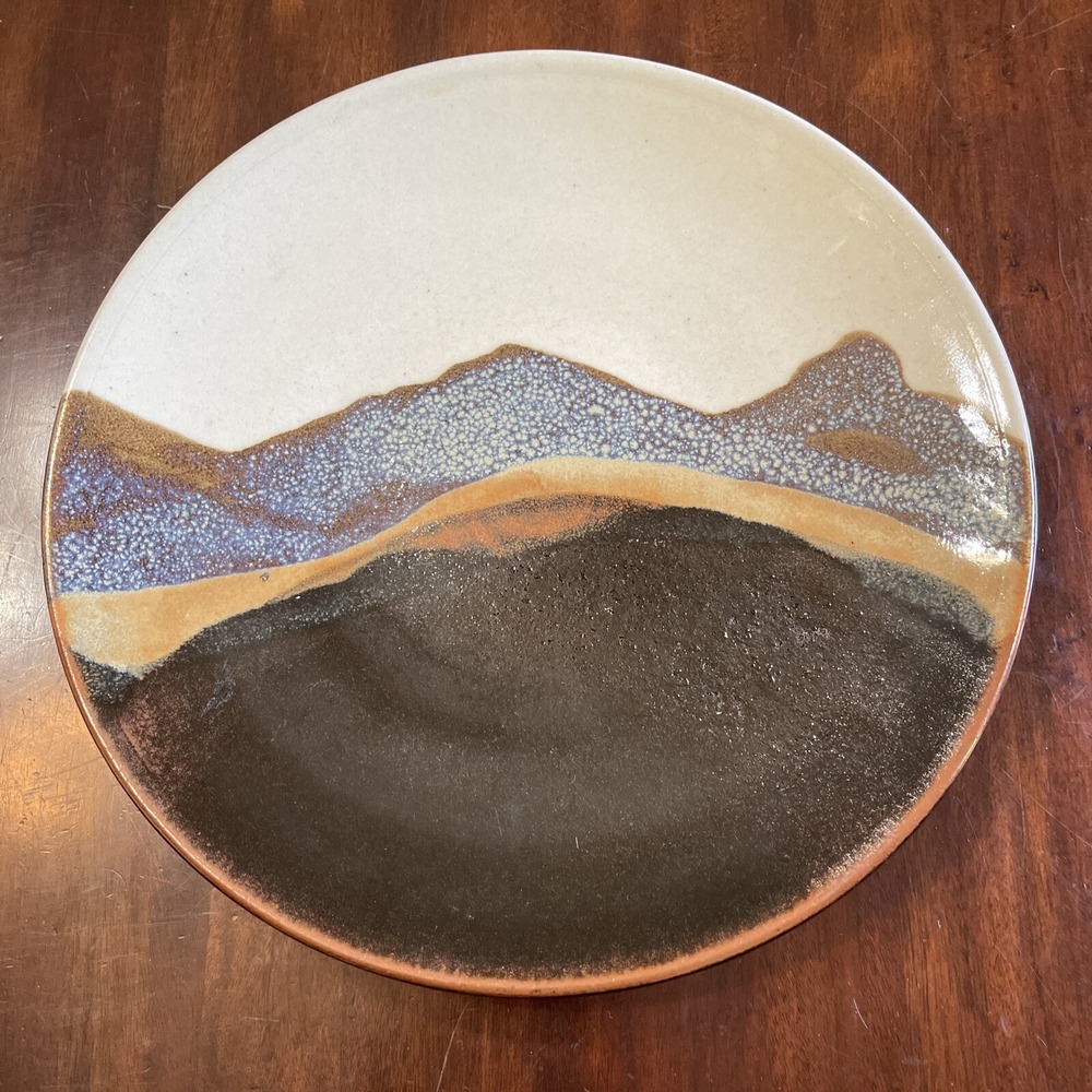 Vintage Studio Art Pottery Platter Large Abstract Artist Signed R Lane 70s Look‎